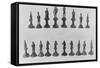 Napoleon's Chess Statuettes-null-Framed Stretched Canvas