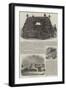 Napoleon's Funeral Car-null-Framed Giclee Print