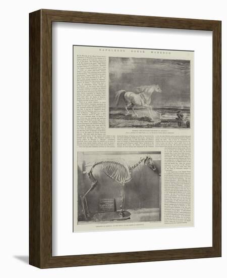 Napoleon's Horse, Marengo-James Ward-Framed Giclee Print