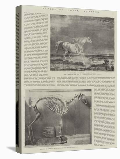 Napoleon's Horse, Marengo-James Ward-Stretched Canvas