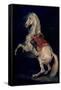 Napoleon's Stallion, Tamerlan - 18th century - 45,2x37 cm - oil on canvas-THEODORE GERICAULT-Framed Stretched Canvas