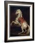 Napoleon's Stallion, Tamerlan-Théodore Géricault-Framed Giclee Print