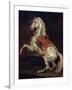 Napoleon's Stallion, Tamerlan-Théodore Géricault-Framed Giclee Print