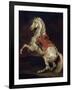 Napoleon's Stallion, Tamerlan-Théodore Géricault-Framed Giclee Print