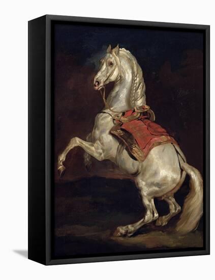 Napoleon's Stallion, Tamerlan-Théodore Géricault-Framed Stretched Canvas