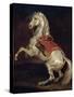 Napoleon's Stallion, Tamerlan-Théodore Géricault-Stretched Canvas
