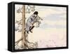 Napoleon Up a Tree-null-Framed Stretched Canvas