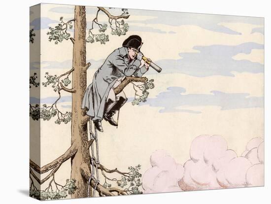 Napoleon Up a Tree-null-Stretched Canvas