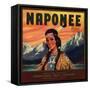 Naponee Brand - Porterville, California - Citrus Crate Label-Lantern Press-Framed Stretched Canvas