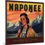 Naponee Brand - Porterville, California - Citrus Crate Label-Lantern Press-Mounted Art Print