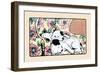 Napping Fox Terrier Dogs-Julia Dyar Hardy-Framed Art Print