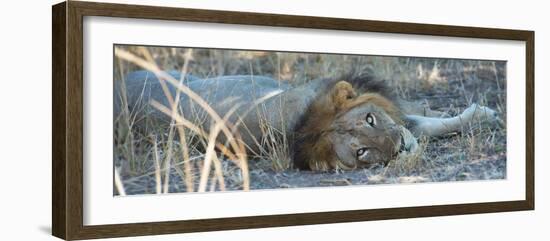 Napping With Open Eyes-Scott Bennion-Framed Photo