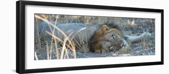 Napping With Open Eyes-Scott Bennion-Framed Photo