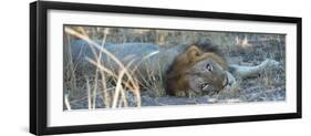 Napping With Open Eyes-Scott Bennion-Framed Photo