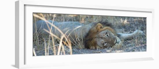 Napping With Open Eyes-Scott Bennion-Framed Photo