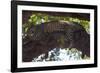 Napping-Scott Bennion-Framed Photo