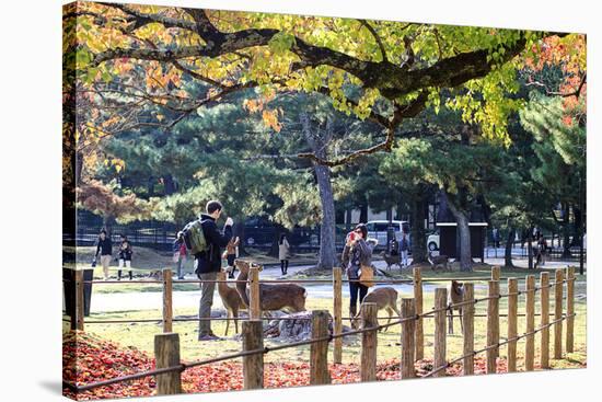 Nara is a Major Tourism Destination-NicholasHan-Stretched Canvas