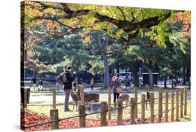 Nara is a Major Tourism Destination-NicholasHan-Stretched Canvas