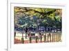 Nara is a Major Tourism Destination-NicholasHan-Framed Photographic Print