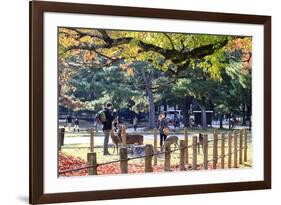 Nara is a Major Tourism Destination-NicholasHan-Framed Photographic Print