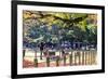 Nara is a Major Tourism Destination-NicholasHan-Framed Photographic Print