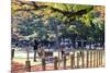 Nara is a Major Tourism Destination-NicholasHan-Mounted Photographic Print