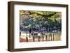 Nara is a Major Tourism Destination-NicholasHan-Framed Photographic Print