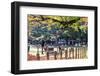 Nara is a Major Tourism Destination-NicholasHan-Framed Photographic Print