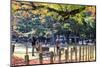 Nara is a Major Tourism Destination-NicholasHan-Mounted Photographic Print