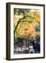 Nara is a Major Tourism Destination-NicholasHan-Framed Photographic Print