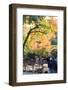 Nara is a Major Tourism Destination-NicholasHan-Framed Photographic Print