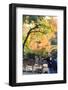 Nara is a Major Tourism Destination-NicholasHan-Framed Photographic Print