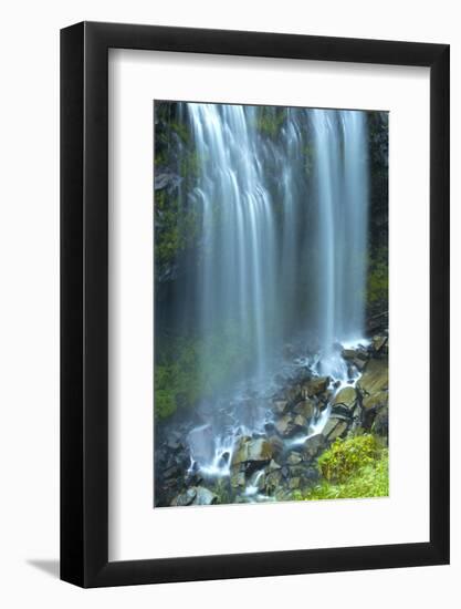 Narada Falls, Mount Rainier National Park, Washington State, USA-Michel Hersen-Framed Photographic Print