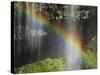 Narada Falls Rainbow, Narada Falls, Mount Rainier National Park, Washington, USA-Michel Hersen-Stretched Canvas