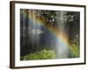 Narada Falls Rainbow, Narada Falls, Mount Rainier National Park, Washington, USA-Michel Hersen-Framed Photographic Print