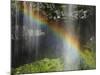 Narada Falls Rainbow, Narada Falls, Mount Rainier National Park, Washington, USA-Michel Hersen-Mounted Photographic Print