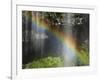 Narada Falls Rainbow, Narada Falls, Mount Rainier National Park, Washington, USA-Michel Hersen-Framed Photographic Print