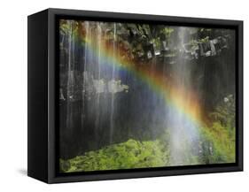 Narada Falls Rainbow, Narada Falls, Mount Rainier National Park, Washington, USA-Michel Hersen-Framed Stretched Canvas