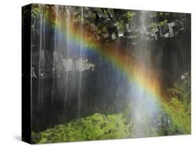 Narada Falls Rainbow, Narada Falls, Mount Rainier National Park, Washington, USA-Michel Hersen-Stretched Canvas