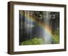 Narada Falls Rainbow, Narada Falls, Mount Rainier National Park, Washington, USA-Michel Hersen-Framed Photographic Print