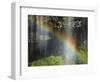 Narada Falls Rainbow, Narada Falls, Mount Rainier National Park, Washington, USA-Michel Hersen-Framed Photographic Print