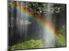 Narada Falls Rainbow, Narada Falls, Mount Rainier National Park, Washington, USA-Michel Hersen-Mounted Photographic Print