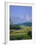 Naranjo De Bulnes (Peak), Picos De Europa Mountains, Asturias, Spain, Europe-David Hughes-Framed Photographic Print