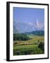 Naranjo De Bulnes (Peak), Picos De Europa Mountains, Asturias, Spain, Europe-David Hughes-Framed Photographic Print