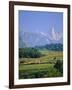 Naranjo De Bulnes (Peak), Picos De Europa Mountains, Asturias, Spain, Europe-David Hughes-Framed Photographic Print