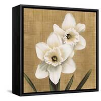 Narcisi-Andrea Trivelli-Framed Stretched Canvas