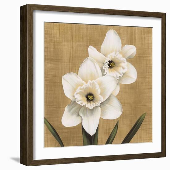 Narcisi-Andrea Trivelli-Framed Art Print