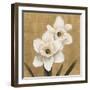 Narcisi-Andrea Trivelli-Framed Art Print