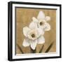 Narcisi-Andrea Trivelli-Framed Art Print