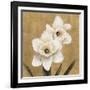 Narcisi-Andrea Trivelli-Framed Art Print